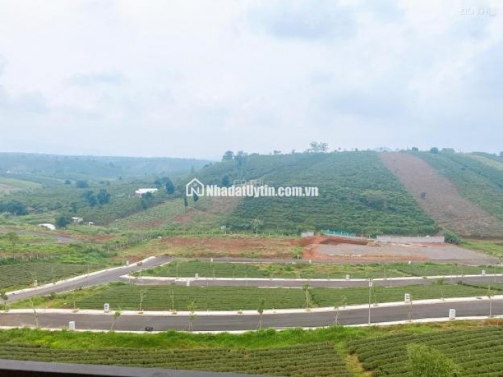 Bán rẻ lô đất thổ cư - cạnh Làng Pháp Bảo Lộc siêu hot